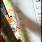 きのこ好き　うらしもじ