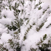 2026.02.08����ʿ�