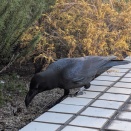 今日明日の生活に必死？