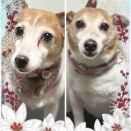 1月8日のお友達❤️