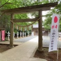 国道６号線沿いのあれはなんだ！！（茨城町）