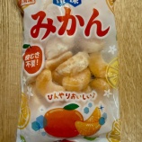 『【神コスパ】業スーの冷凍みかんが優勝過ぎた件【213円の衝撃！】』の画像