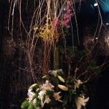 『 年始はやっぱり肉♪遊玄亭@銀座』の画像