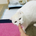 M.Yさんのお当番日記『素直じゃない』。
