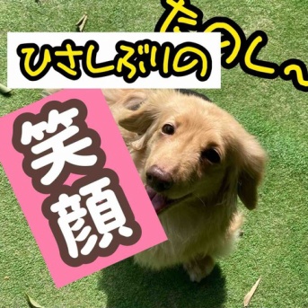 モコちゃん久しぶりの外出。回復速度は爬虫類並み。
