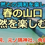 もりつちの徒然なるままに