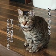 関東の大雨が心配。と、オーロラのハートつくりました。