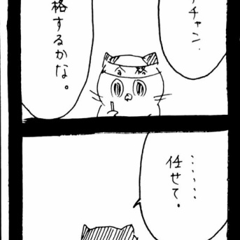 大学受験に挑む12