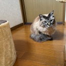 やっと完成しました～