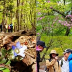 塩原温泉ビジターセンター通信