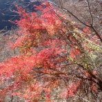 山の草木に息吹を与える風