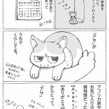 うちの犬のルカ。【５４】