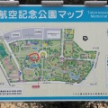 航空公園で蝋梅を見る