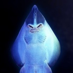 Roswell Japan Blog