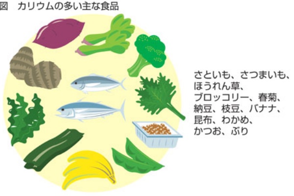 マッスル脚と言われた元陸上部の私が1日10分の引き締め法で菜々緒のような美脚になれて憧れのあの人と付き合えた訳