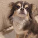 まりちゃん、どした？