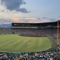 【大阪遠征記】念願の初・甲子園!