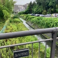���ֻ����ʲ���Ȭ��ϰ����󥬡��ϥå����ˡʥ�饤�ȡ�