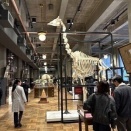 呑んだりアポーストア行ったりのんびりしたり（3連休日記）