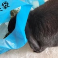 何を言うかと思えば。
