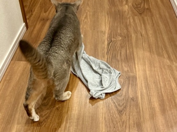 デジャヴ⁇ 着替えは慎重に…