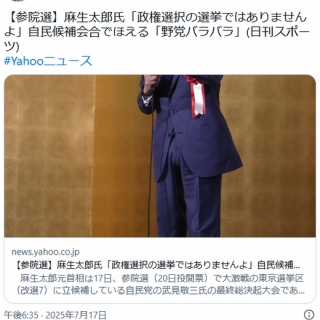 痛いニュース(ﾉ∀`)