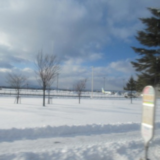 ロマンチック・クッキング&サイエンス