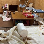 家をさがすのじゃ～～～～