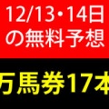 競馬予想無料公開サイト~12/13・14(2025)検証