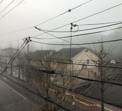 亀岡は、霧が出ているのに、小雨が降っている。