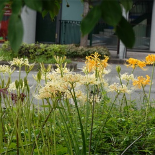 「藍川京」の部屋