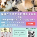 保護うさぎ譲渡会 第37回 保護うさぎさんに逢おうの会in大阪【6/21】