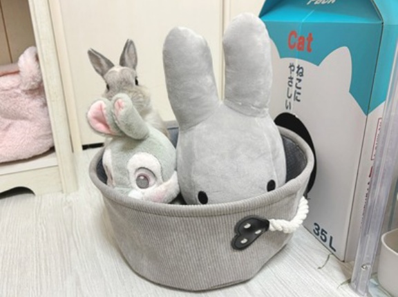 うさぎのルリとハムスターのプリン(12/9追記)