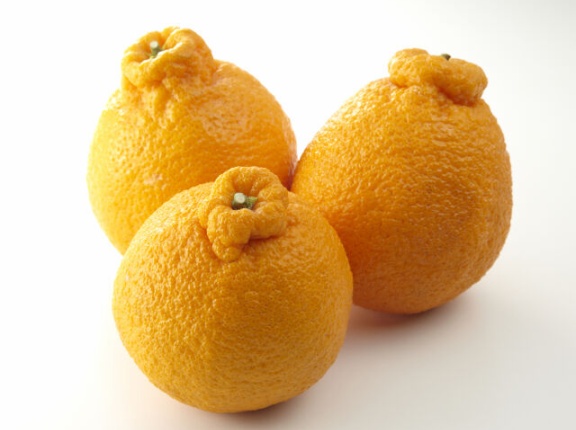 「たけ」のこと