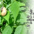 一関文化協会理事研修会
