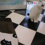 裏つるきち