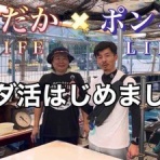 めだかライフ