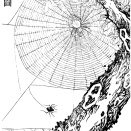 蜘蛛の怪を絶つ話