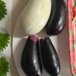 茄子料理とおむつ替えの練習