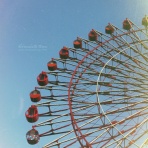 トイロ公式ブログ【日々のこと～暮らしを彩る料理とモノ～】