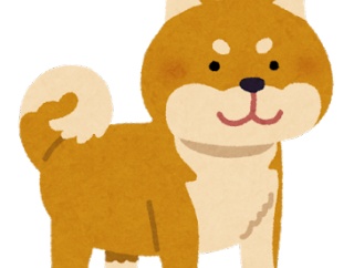 柴犬という飼育難易度激高ワンコについて