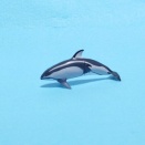 【３点追加】カマイルカグッツ、無ければ造る？