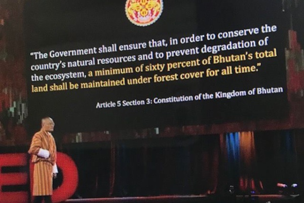 英語発音ミューズのしごと道