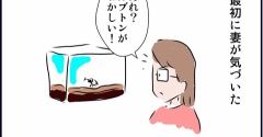 子どもたちとカブトムシとの別れ