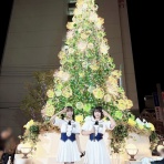 STU48まとめせとら