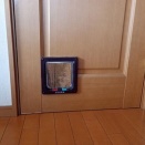 猫ドアからしゅうちゃん