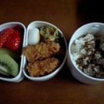 中学受験～日能研経由～？行き