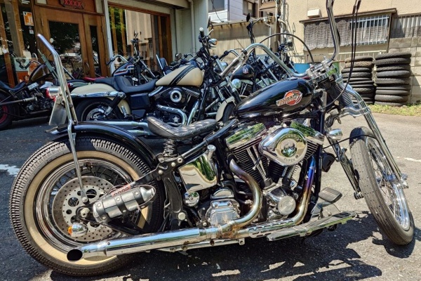 ランブータンバイクシート作製のブログ