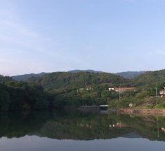 朝からカモの人(戸川ダム公園・2026.7.16) その1