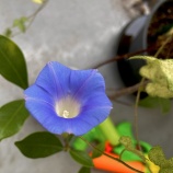 『継続して稼げる人と継続しても稼げない人 vol.4153』の画像